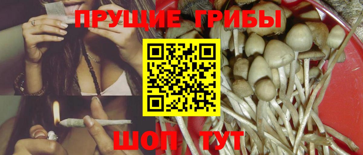 Псилоцибиновые грибы мухоморы Малгобек