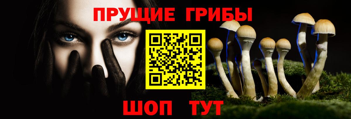 Галлюциногенные грибы Psilocybine cubensis  Галлюциногенные грибы Psilocybe  Вход с VPN  Малгобек 